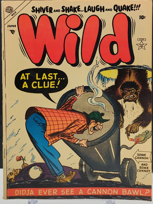 Wild 1954 #4 4.5